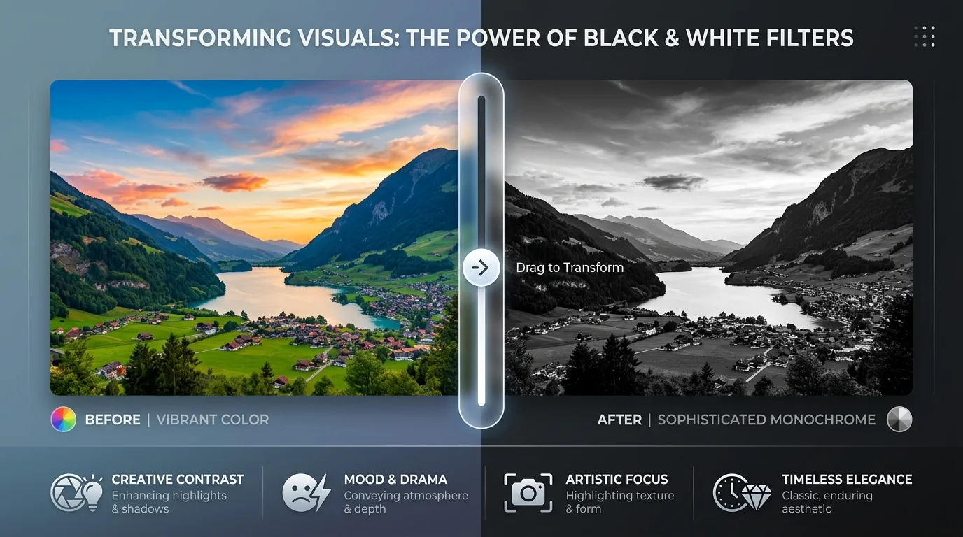 Infographic_comparing_black_whit…_20260924192709.webp Infographic_comparing_black_whit…_20260924192709.webp